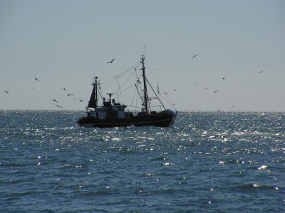 Ein Fischkutter vor der Küste der Insel Rügen